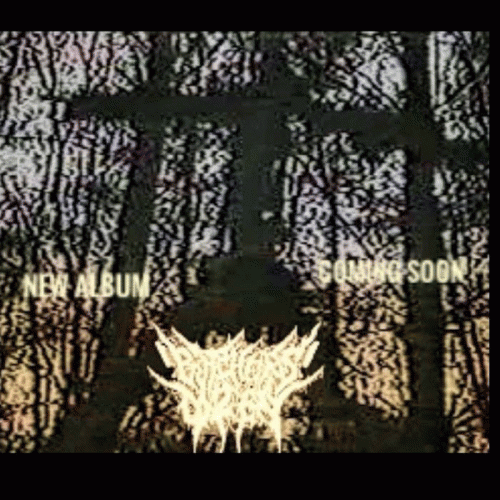 Butchers Dozen : Bad Blood